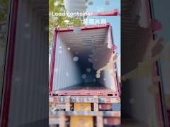 أطفال ملونونة تسحب على طول حقيبة 30L مع مقبض تلسكوبي